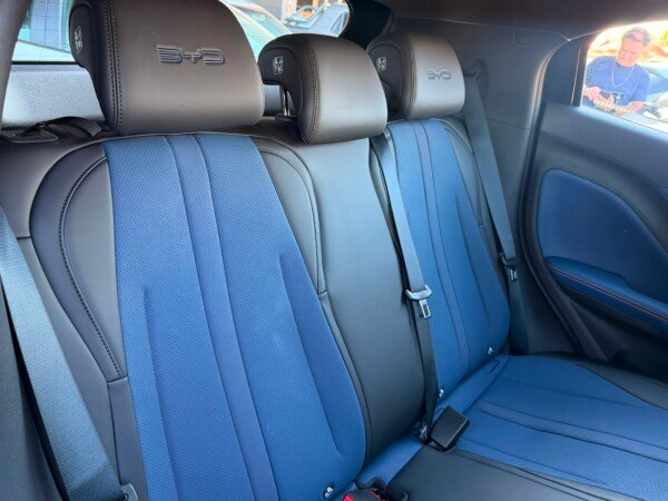 BYD Dolphin Mini GS 2026 — foto 9